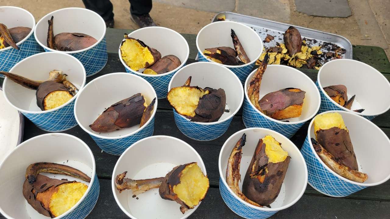 사본 -d_dd7Ud018svcvd6z7uo5a2fc_vd3dgs.jpg