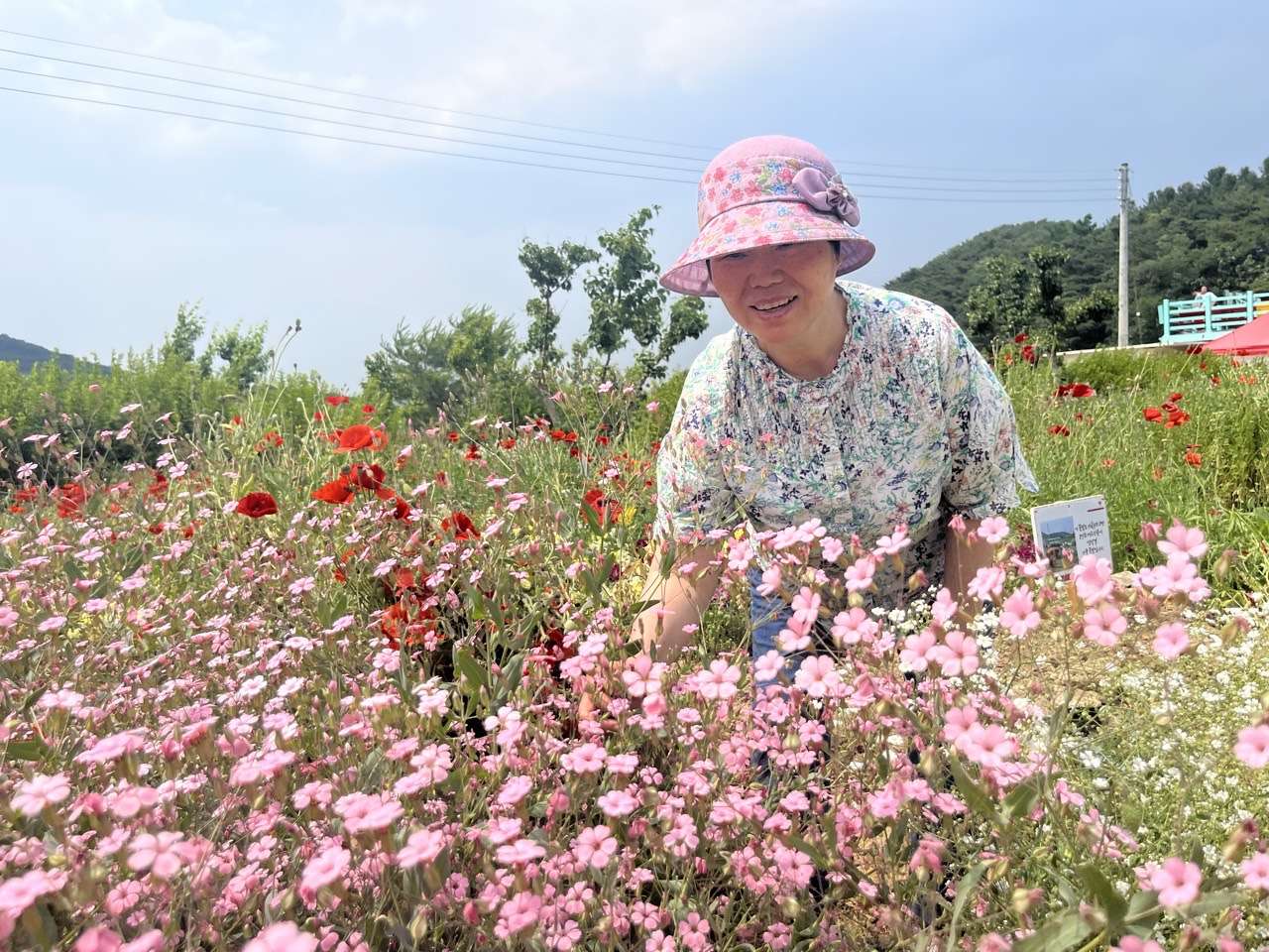 사본 -d_dbcUd018svckliwwmj2w6nq_e14x8z.jpg