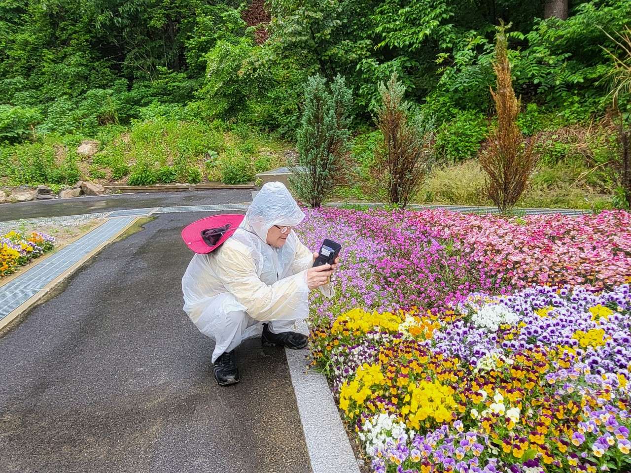사본 -7_df2Ud018svc1b8b2e3cy447s_tiah4y (2).jpg