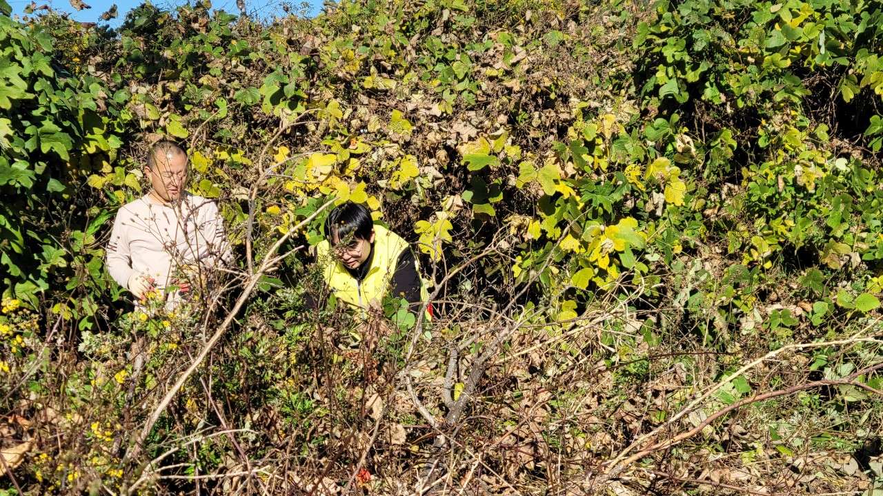 사본 -1_3e2Ud018svchtx0be0qlimj_vd3dgs.jpg