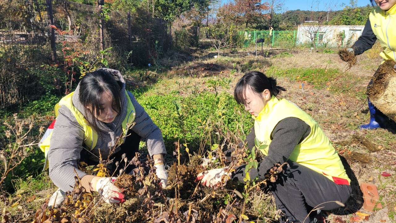 사본 -0_ce2Ud018svc1m43ef6bv6ipz_vd3dgs.jpg