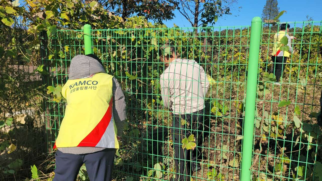 사본 -8_cejUd018svc1r8qnexkbr9qz_vd3dgs.jpg