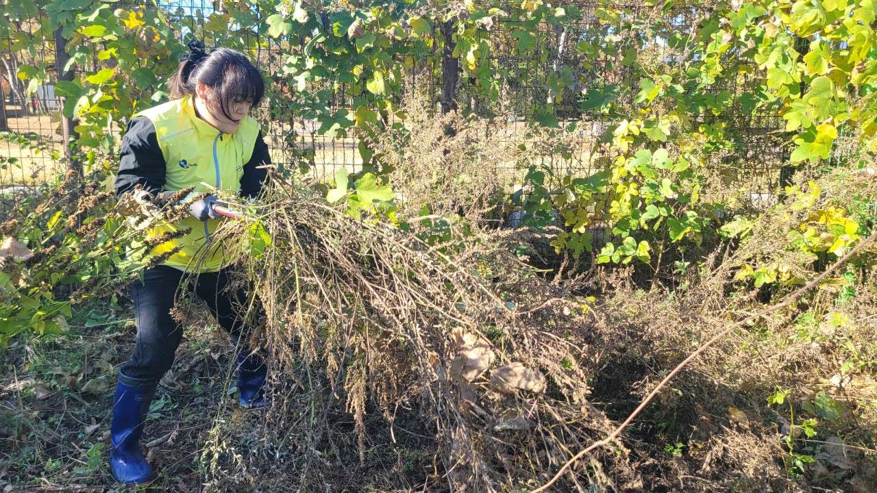 사본 -1_he2Ud018svc1nliefiuuoyvq_vd3dgs.jpg