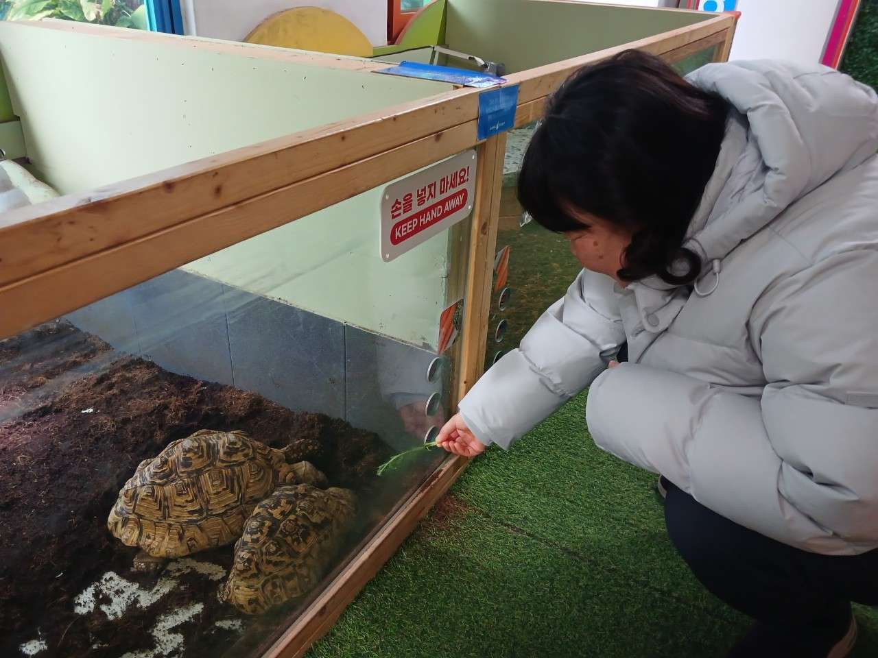 사본 -f_1haUd018svc13clzg2umfkvp_cwk4u7.jpg